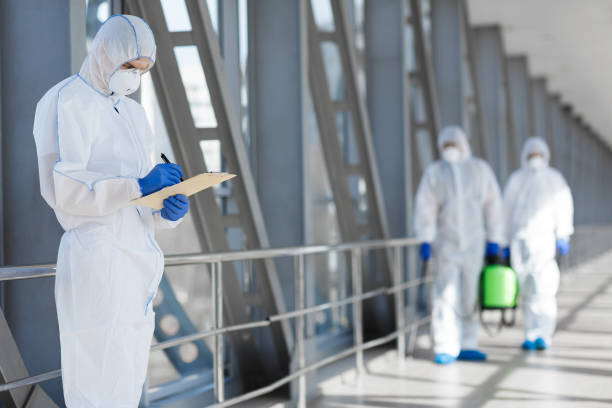 Best Commercial Mold Inspection  in Keokea, HI