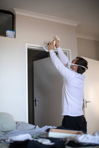 Best Mold Remediation for Healthcare Facilities  in Keokea, HI