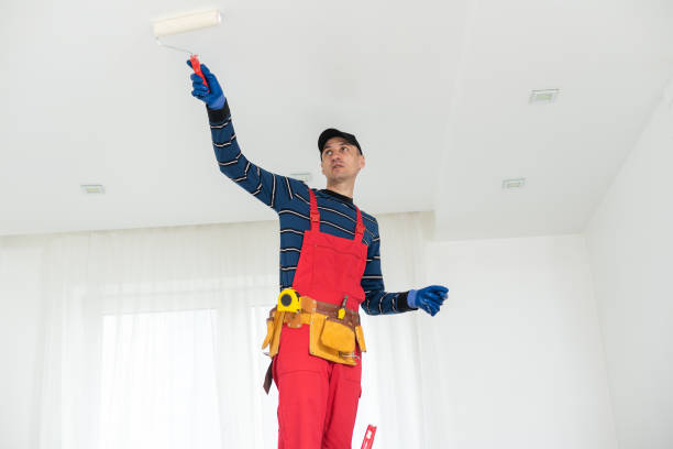 Best Air Quality Testing for Mold Spores  in Keokea, HI