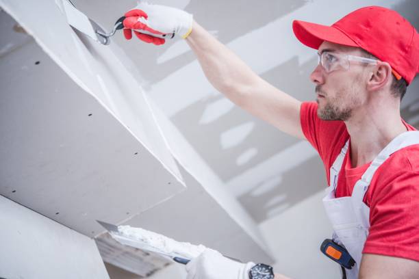 Best Mold Odor Removal Services  in Keokea, HI
