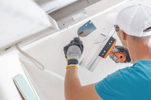 Best Airborne Mold Testing  in Keokea, HI